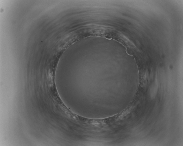 X0000085311013200703231918