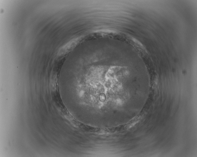 X0000085311014200703231918