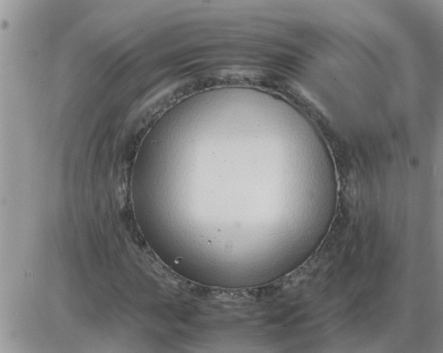 X0000085311015200703231918