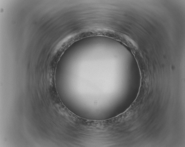 X0000085311016200703231918