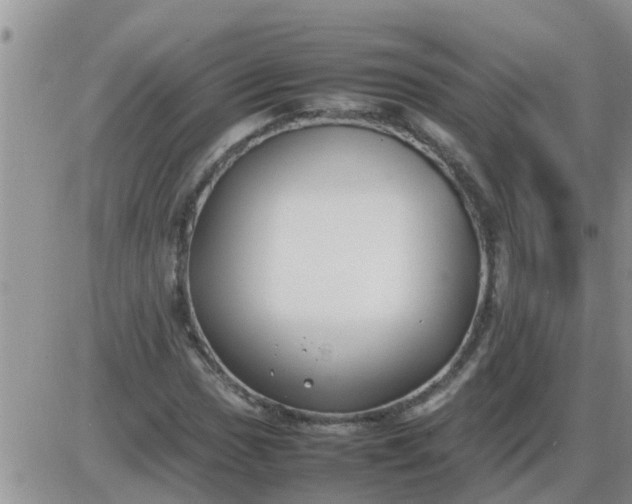 X0000085311017200703231918