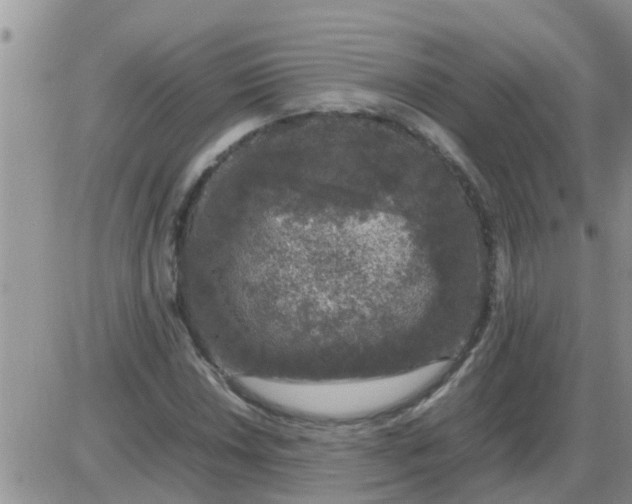 X0000085311018200703231918