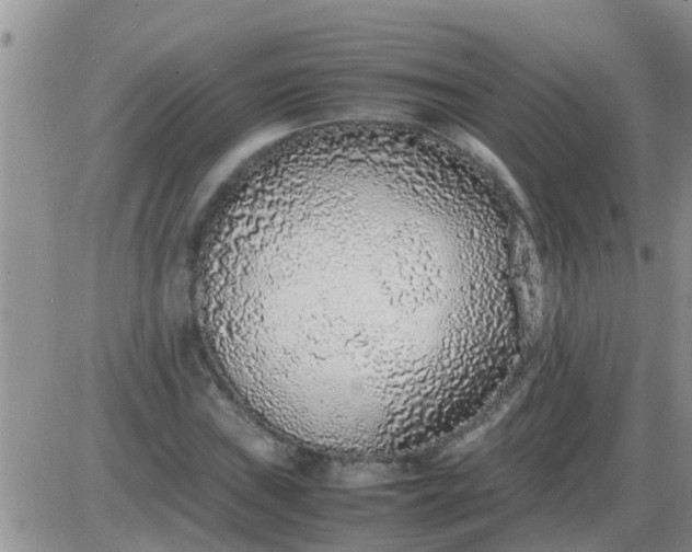 X0000085311019200703231918