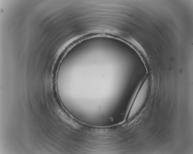 X0000085311020200703231918