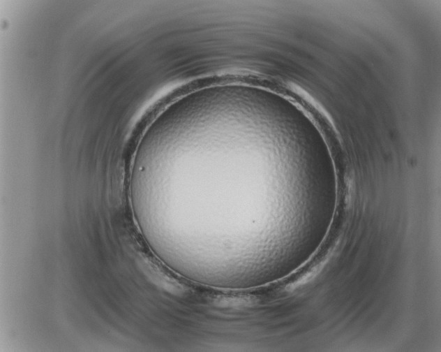 X0000085311021200703231918