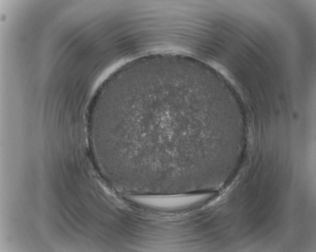 X0000085311022200703231918