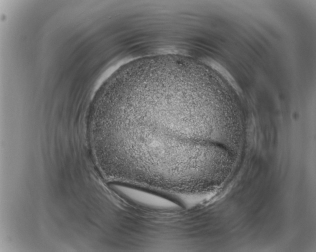 X0000085311023200703231918