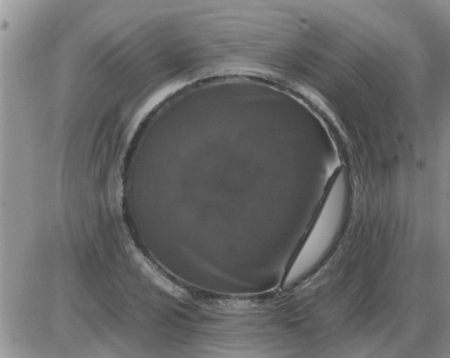 X0000085311024200703231918