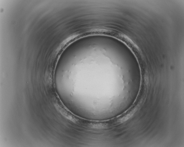 X0000085311025200703231918