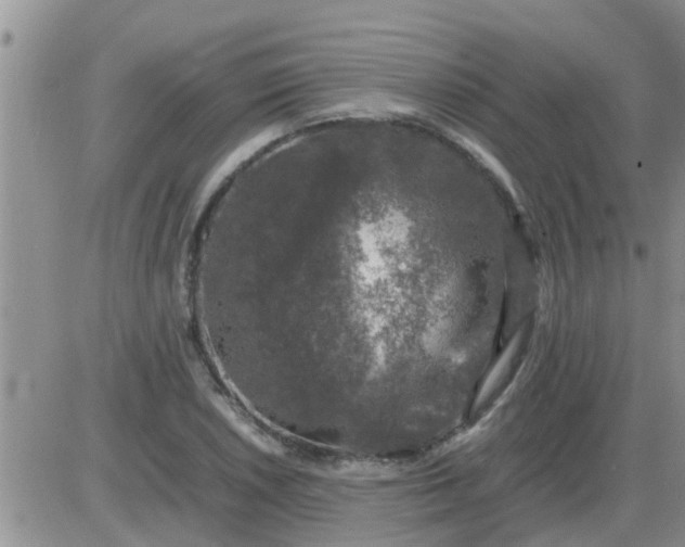 X0000085311026200703231918