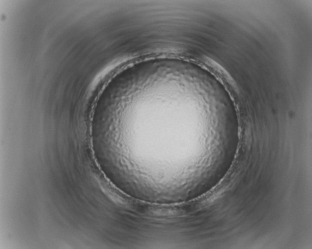 X0000085311027200703231918