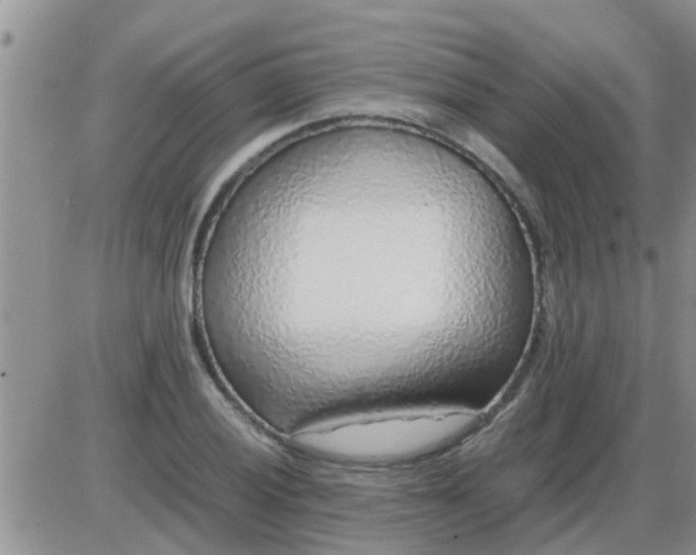 X0000085311028200703231918