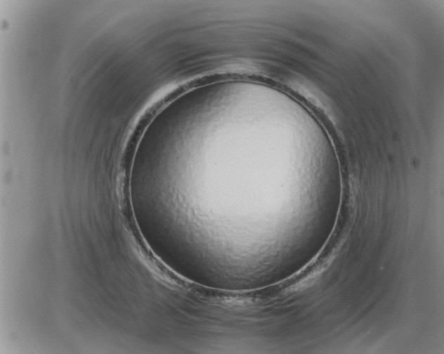 X0000085311029200703231918