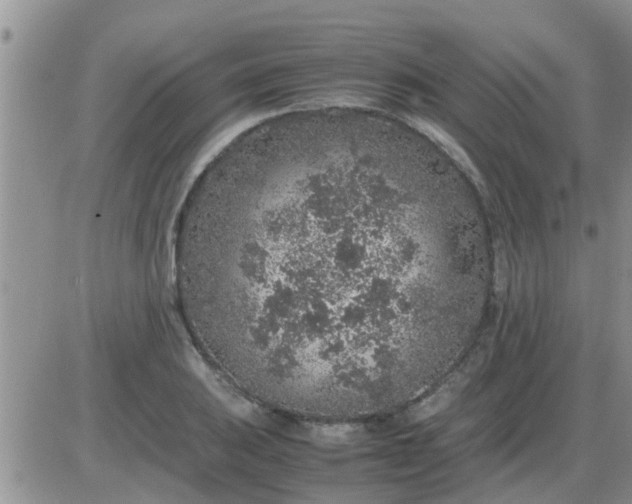 X0000085311031200703231918