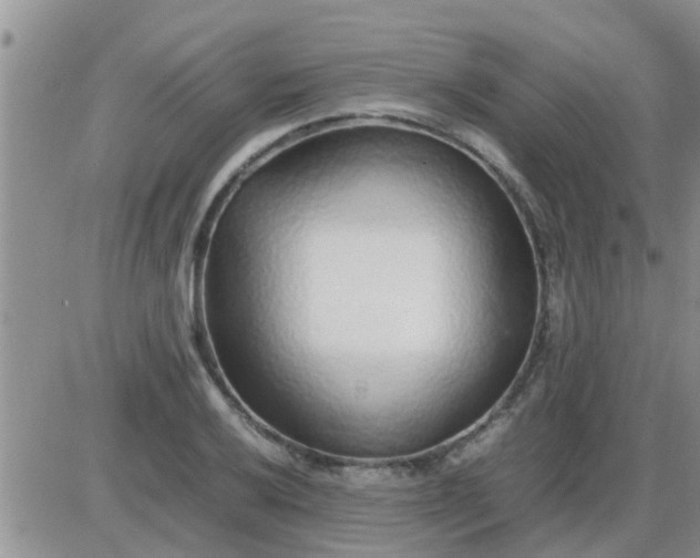 X0000085311032200703231918