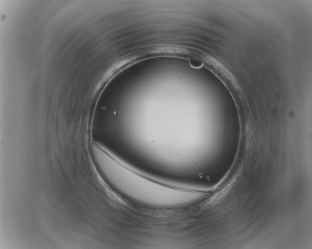 X0000085311033200703231918