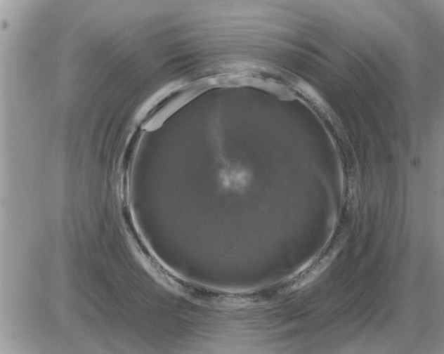 X0000085311034200703231918