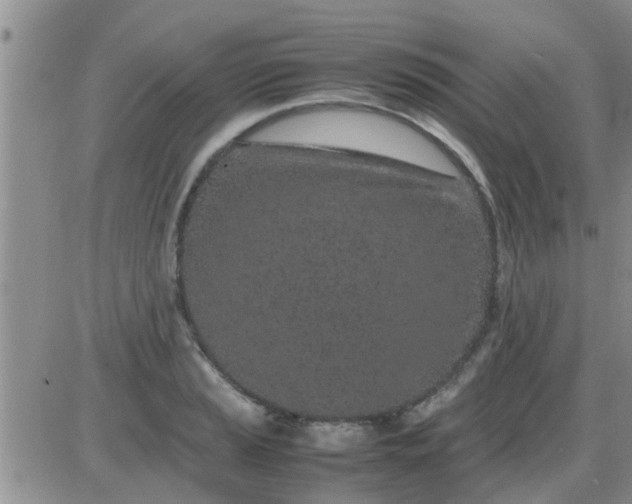 X0000085311037200703231918