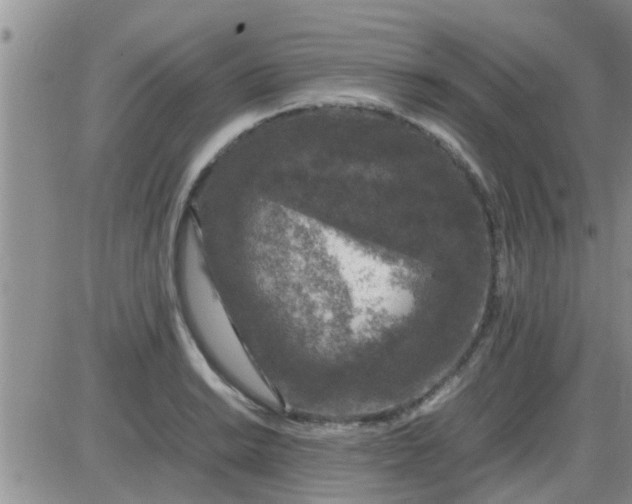 X0000085311038200703231918