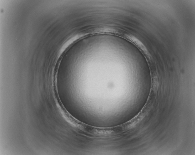 X0000085311039200703231918