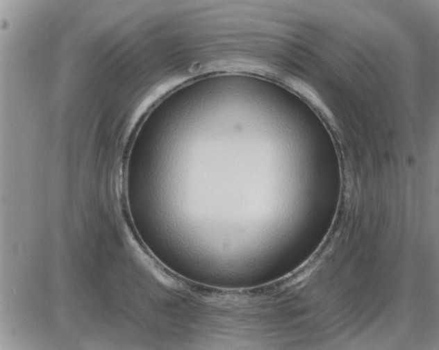 X0000085311040200703231918