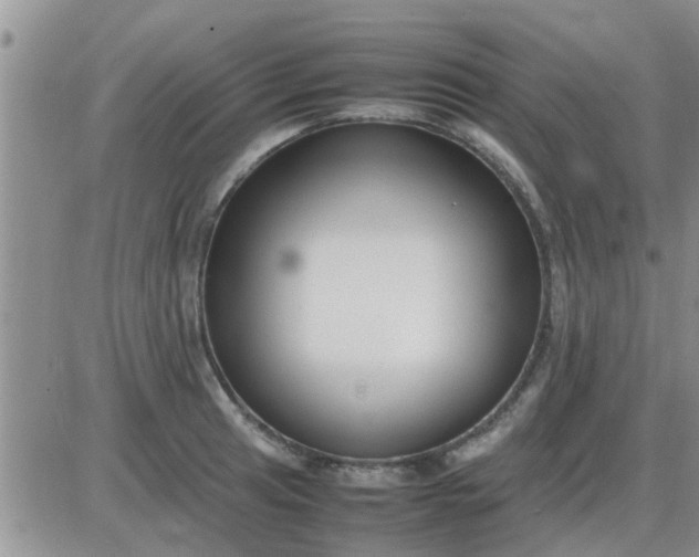 X0000085311041200703231918