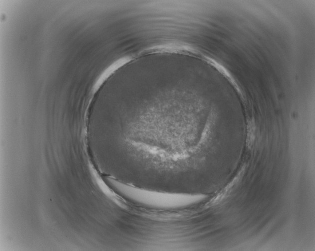 X0000085311042200703231918