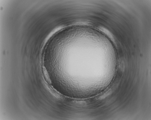 X0000085311043200703231918