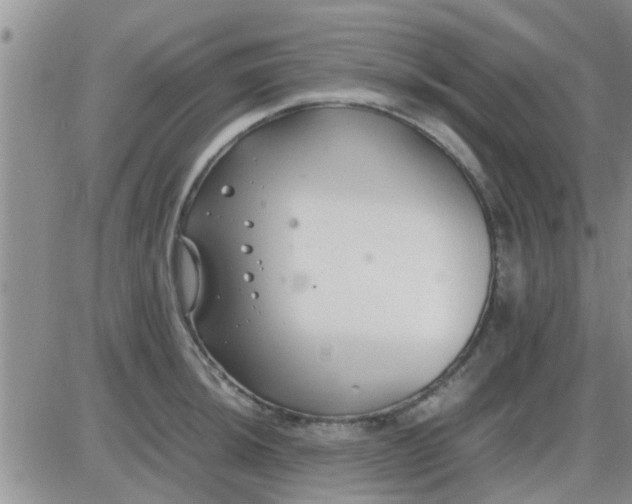 X0000085311044200703231918