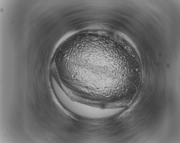 X0000085311045200703231918