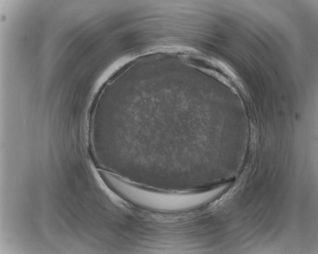 X0000085311046200703231919