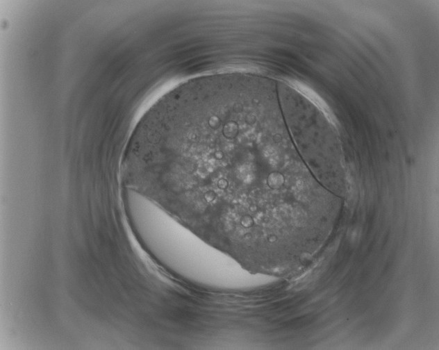 X0000085311047200703231919