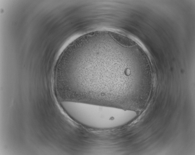 X0000085311048200703231919