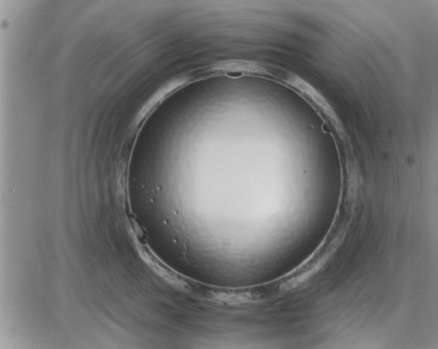 X0000085311049200703231919