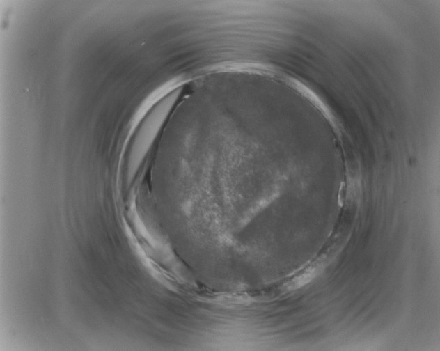 X0000085311050200703231919