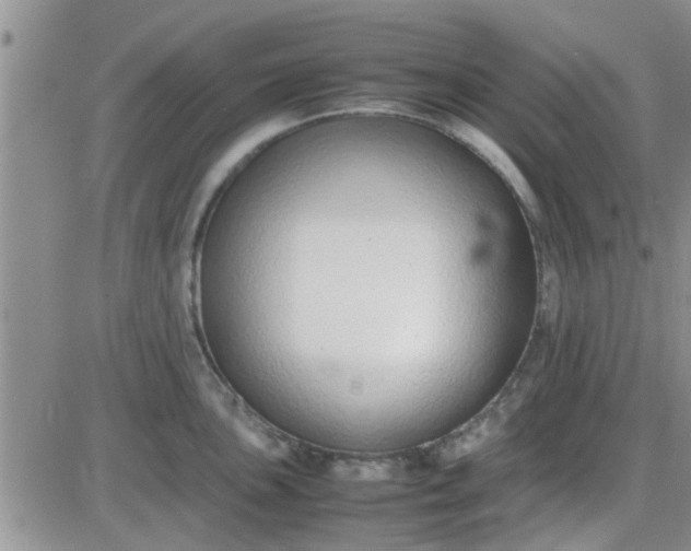 X0000085311051200703231919