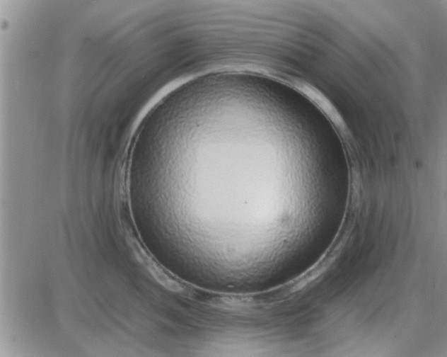 X0000085311052200703231919