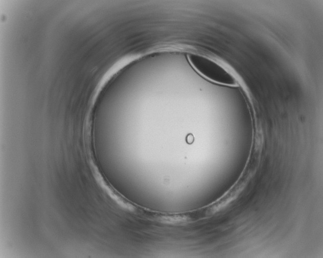 X0000085311053200703231919