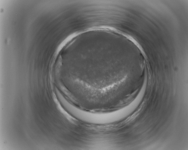 X0000085311054200703231919