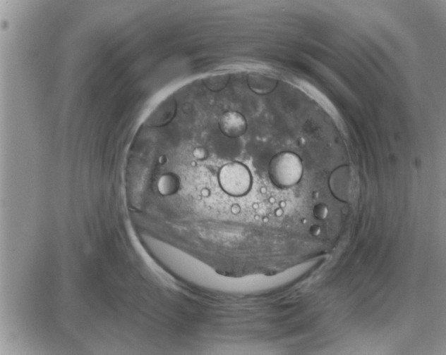 X0000085311055200703231919