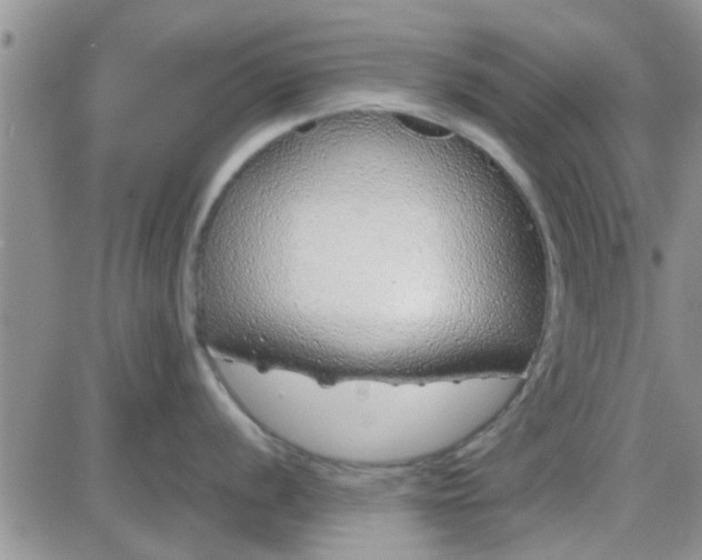 X0000085311056200703231919