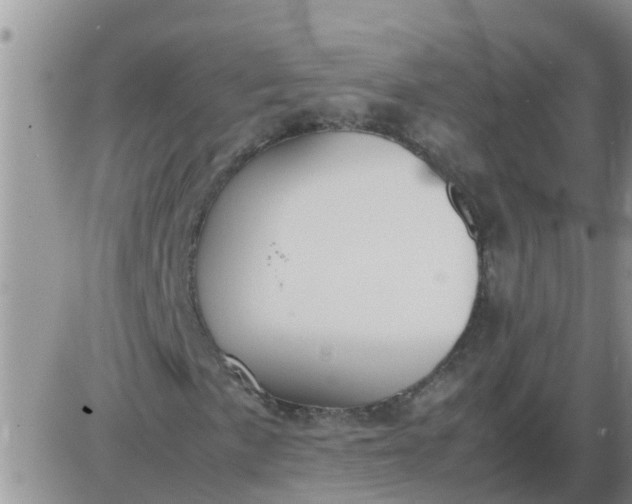 X0000085311057200703231918