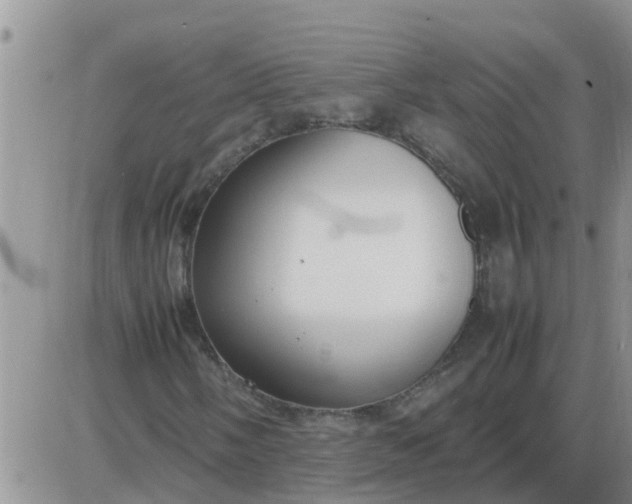 X0000085311058200703231918