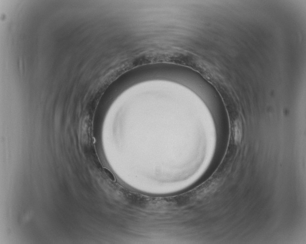 X0000085311059200703231918