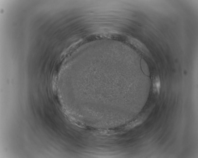 X0000085311060200703231918