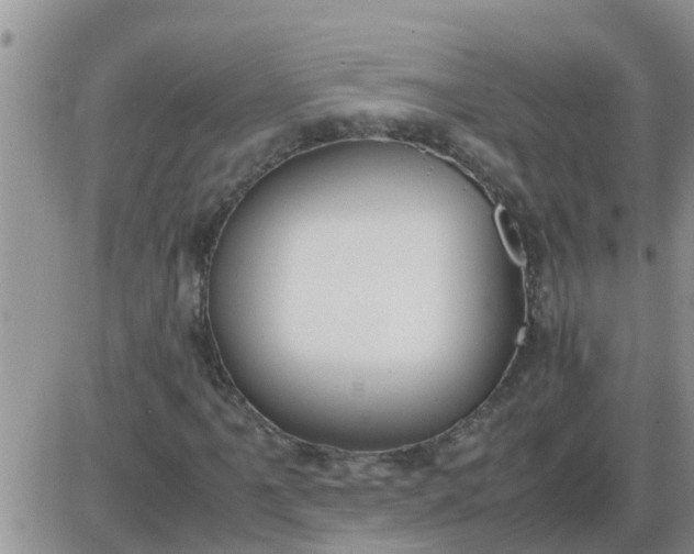 X0000085311061200703231918