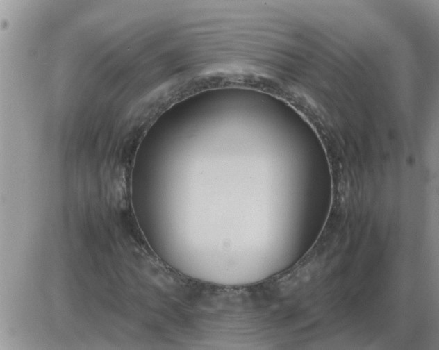 X0000085311062200703231918