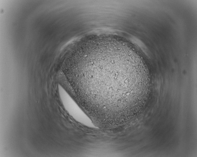 X0000085311063200703231918