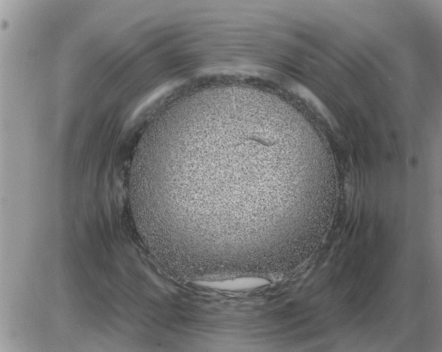 X0000085311064200703231918