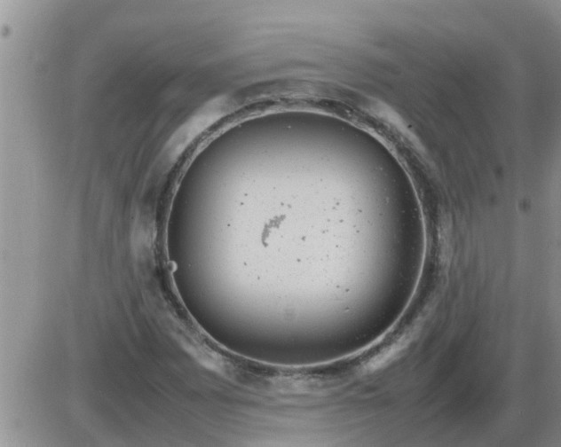 X0000085311065200703231918